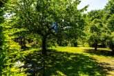 Garten - Kapitalanlage mit Charakter. Stilvoll saniert!