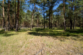 Bild - Forsthaus am See in Alleinlage