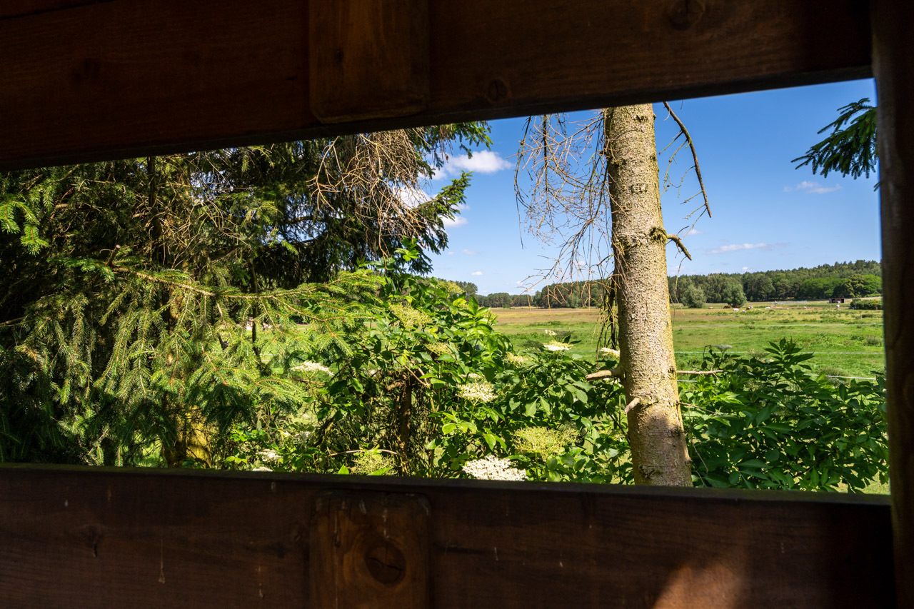 Blick aus dem Hochstand